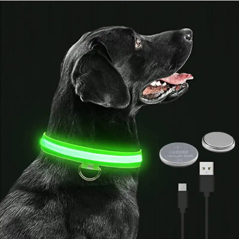 LED Glowing Pet Collar