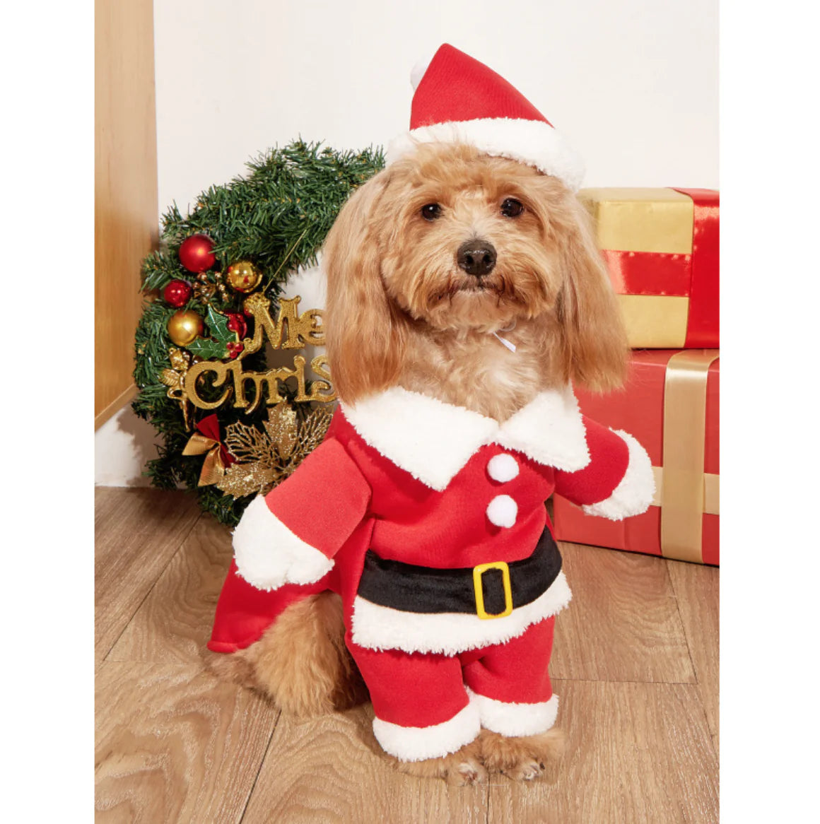 Happy Christmas Pet Costume