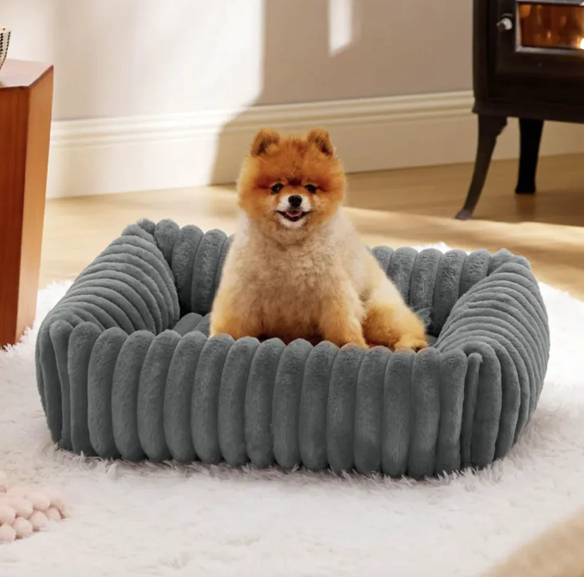 Modern Pet Bed