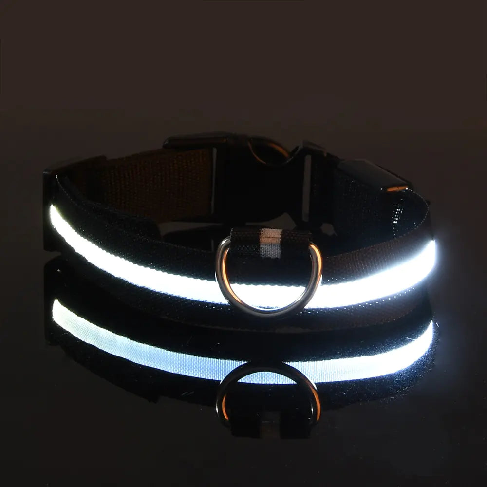 LED Glowing Pet Collar