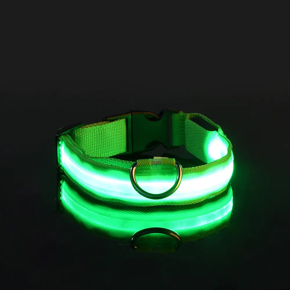 LED Glowing Pet Collar