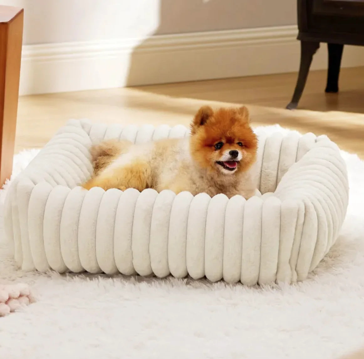 Modern Pet Bed