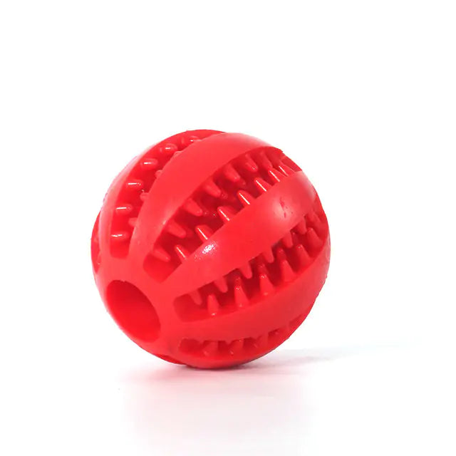 Dog Ball Chew Toy