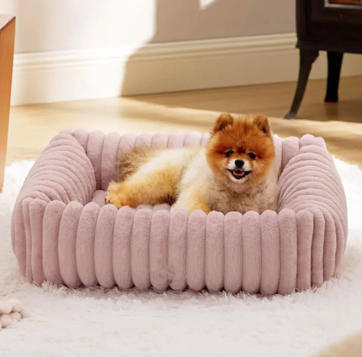 Modern Pet Bed