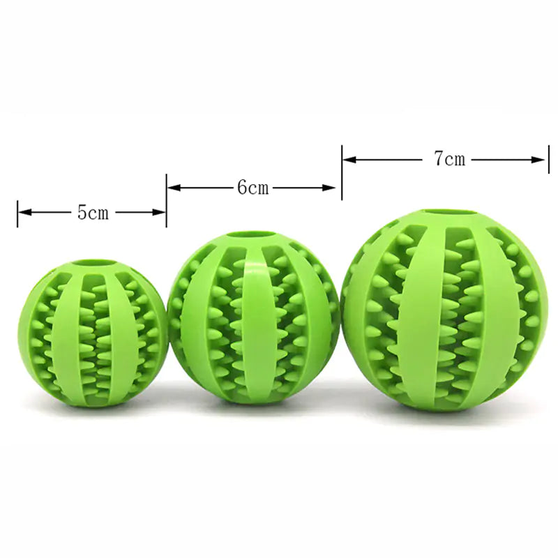 Dog Ball Chew Toy