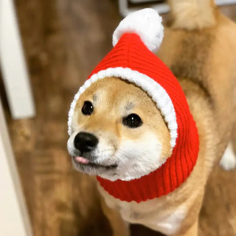 Winter Pet Warmer Hat