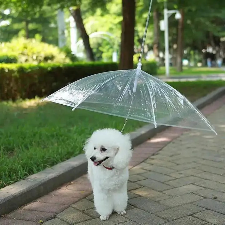 Pet Umbrella Leash