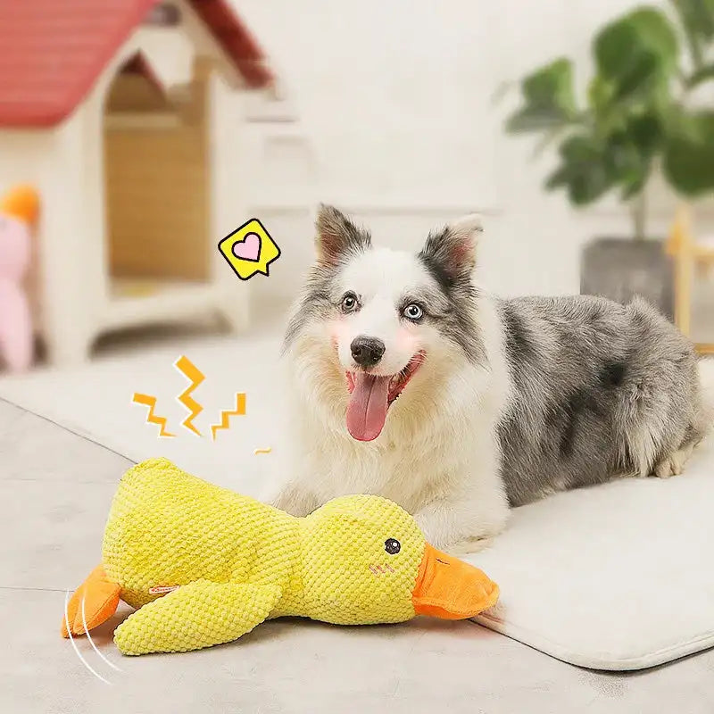 Happy Duck Chew Toy