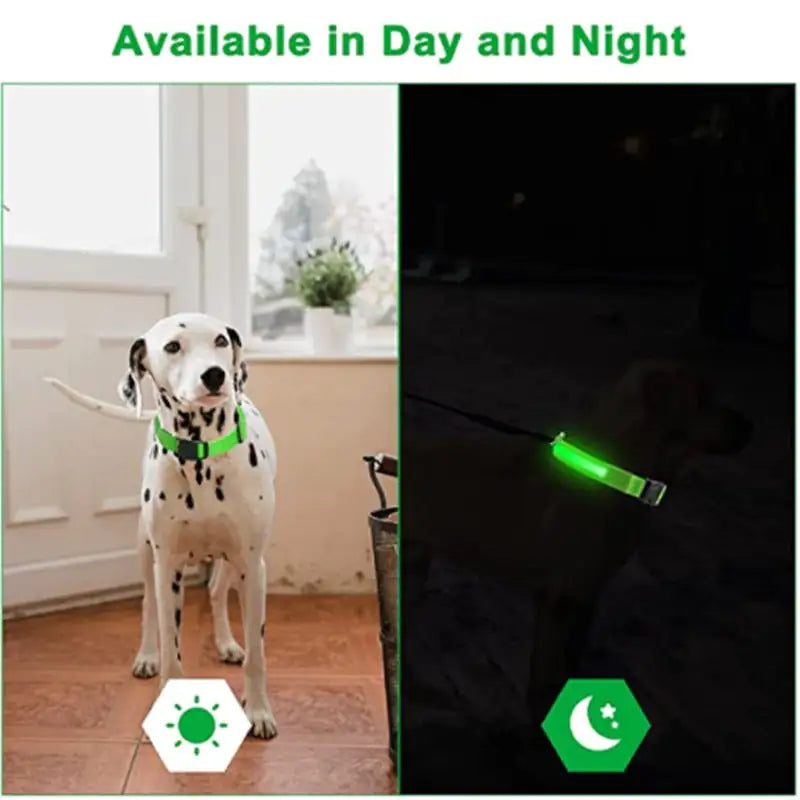 LED Glowing Pet Collar