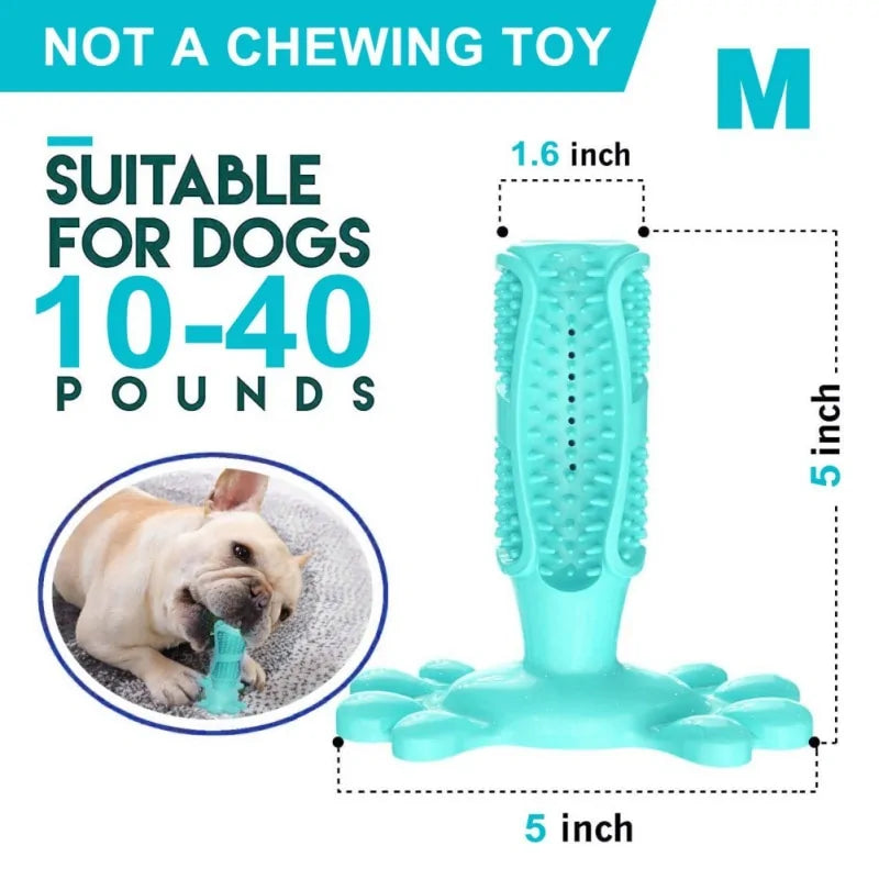 Dog Toothbrush Stick