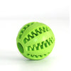 Dog Ball Chew Toy