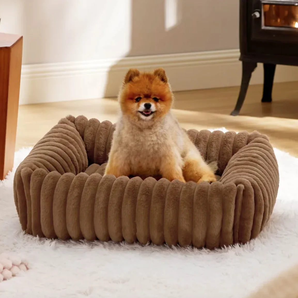 Modern Pet Bed