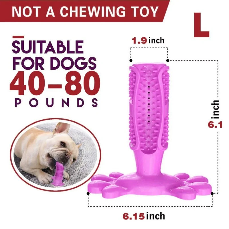 Dog Toothbrush Stick