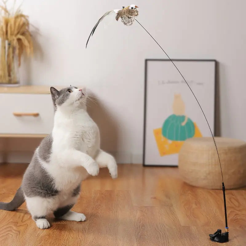 Interactive Bird Toy